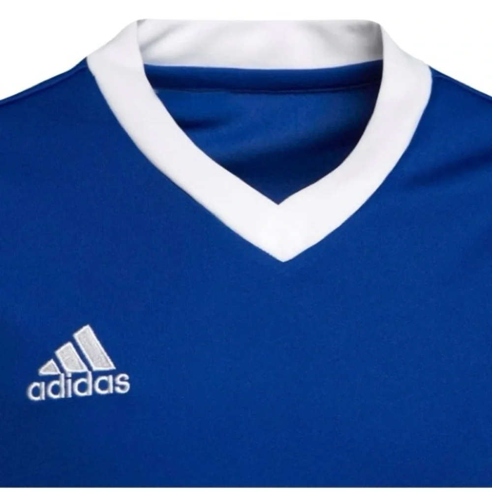 ADIDAS Entrada 22 Jersey Team Royal Blue Youth Boys Girls UNISEX Medium